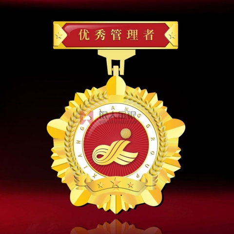 湖南長沙湘江集團優(yōu)秀管理者獎牌獎?wù)? title=
