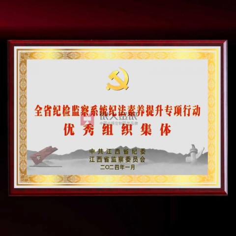 中共X省紀(jì)委監(jiān)委優(yōu)秀組織獎(jiǎng)牌定制