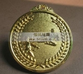 武術(shù)散打比賽運(yùn)動(dòng)會(huì)獎(jiǎng)牌