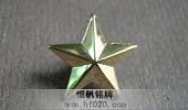鍍金五角星司徽,五角星胸針五角星胸標(biāo)徽章